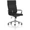Hawkes Executive Chair, Fixed Height Arms, Black