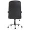 Ontario Executive Chair, Fixed Height Arms, Black
