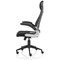 Saturn Executive Mesh Back Chair, Headrest, Folding Arms, Black