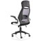 Saturn Executive Mesh Back Chair, Headrest, Folding Arms, Black