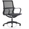 Lula Mesh Executive Chair, Fixed Height Arms, Black