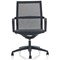 Lula Mesh Executive Chair, Fixed Height Arms, Black