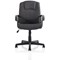 Bella Executive Managers Chair, Fixed Height Arms, Charcoal