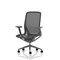 Lumo Executive Mesh Chair, Height Adjustable Arms, Shadow Grey