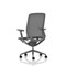Lumo Executive Mesh Chair, Height Adjustable Arms, Shadow Grey