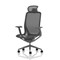 Lumo Executive Mesh Chair With Headrest, Height Adjustable Arms, Shadow Grey