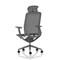 Lumo Executive Mesh Chair With Headrest, Height Adjustable Arms, Shadow Grey