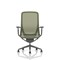 Lumo Executive Mesh Chair, Height Adjustable Arms, Verge Green