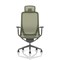 Lumo Executive Mesh Chair With Headrest, Height Adjustable Arms, Verge Green