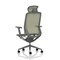 Lumo Executive Mesh Chair With Headrest, Height Adjustable Arms, Verge Green