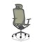 Lumo Executive Mesh Chair With Headrest, Height Adjustable Arms, Verge Green