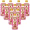 Fabulosa All Purpose Cleaner Raspberry Nectar 1 Litre Pack of 10