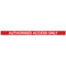 WeatherMaster 250 Yellow Post Auth Access Red/White Pack of 2