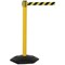 WeatherMaster 250 Yellow Post Auth Access Ylw/Black Pack of 2