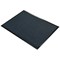 5 Star Entrance Door Mat, 600 x 900mm, Black/Blue