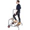 Climb-It Wide Work Steps with Chequer Plate, 3 Tread, Silver