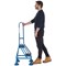 Climb-It Domed Feet Handy Step with Side Handrail, 2 Tread, Blue
