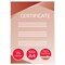 GBC A4 Laminating Pouches, 150 Microns, Glossy, Pack of 100