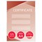 GBC A4 Laminating Pouches, 250 Microns, Glossy, Pack of 100