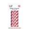 Paper Straws x50 320gsm Assorted Pack of 24
