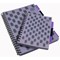 Europa Splash Project Book, A4, Ruled & Perforated, 200 Pages, Purple, Pack of 3