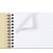 Exacompta Forever Recycled Wirebound Notebook, A4, Ruled & Perforated, 120 Pages, Assorted Pack of 5