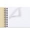 Exacompta Forever Recycled Wirebound Notebook, A4, Ruled & Perforated, 120 Pages, Assorted Pack of 5