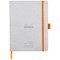 Rhodiarama Italian Leatherette Meeting Book, A5+, 160 Pages, Silver
