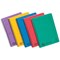 Europa Wirebound Notebook, A5, Ruled & Perforated, 120 Pages, Assorted Colours, Pack of 10