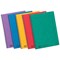 Europa Wirebound Notebook, A4, Ruled & Perforated, 120 Pages, Assorted Colours, Pack of 10