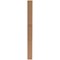 Exacompta Eterneco Box File, 25mmSpine, A4, Assorted, Pack of 8