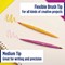 Paper Mate Flair Dual Felt Tip Brush + Medium Tip Assorted (Pack of 8)