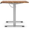 Air 1600mm Scalloped Edge Height Adjustable Desk, Silver Leg, Walnut