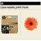 HP 937E EvoMore Original Ink Cartridge High Yield Black 4S6W9NE