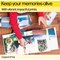 HP 971 Yellow Ink Cartridge CN624AE