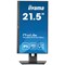 iiyama ProLite XUB2293HSU-B7 21.5 inch Monitor IPS FHD