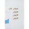 Bi-Office Biofusion Bivalves Magnets, 10mm, Beige, Pack of 10