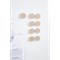 Bi-Office Biofusion Bivalves Magnets, 35mm, Beige, Pack of 10