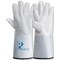 Predator Standard Tig Gauntlet 1 Pair White 10 (Pack of 10)