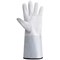 Predator Standard Tig Gauntlet 1 Pair White 10 (Pack of 10)