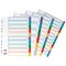 Concord Plastic Subject Dividers, 10-Part, Blank Multicolour Tabs, A4, White