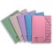 Concord Foolscap Elasticated Files, 9-Part, Assorted, Pack of 10