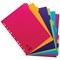 Concord Bright Subject Dividers, 10-Part, Blank Multicolour Tabs, A4, Multicolour