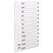 Concord Plastic Index Dividers, Jan-Dec, Clear Tabs, A4, White