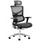 Ergo- Dynamic Posture Chair with Headrest, Black Frame, Black, Built