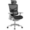 Ergo-Dynamic Posture Chair with Headrest, Grey Frame, Black