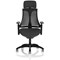 Flex Task Black Frame & Seat Operator Chair, Headrest, Height Adjustable Arms, Black Back