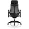 Flex Task Black Frame & Seat Operator Chair, Headrest, Height Adjustable Arms, Black Back