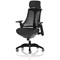 Flex Task Black Frame & Seat Operator Chair, Headrest, Height Adjustable Arms, Black Back