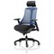 Flex Task Operator Chair With Headrest, Black Seat, Blue Back, Black Frame